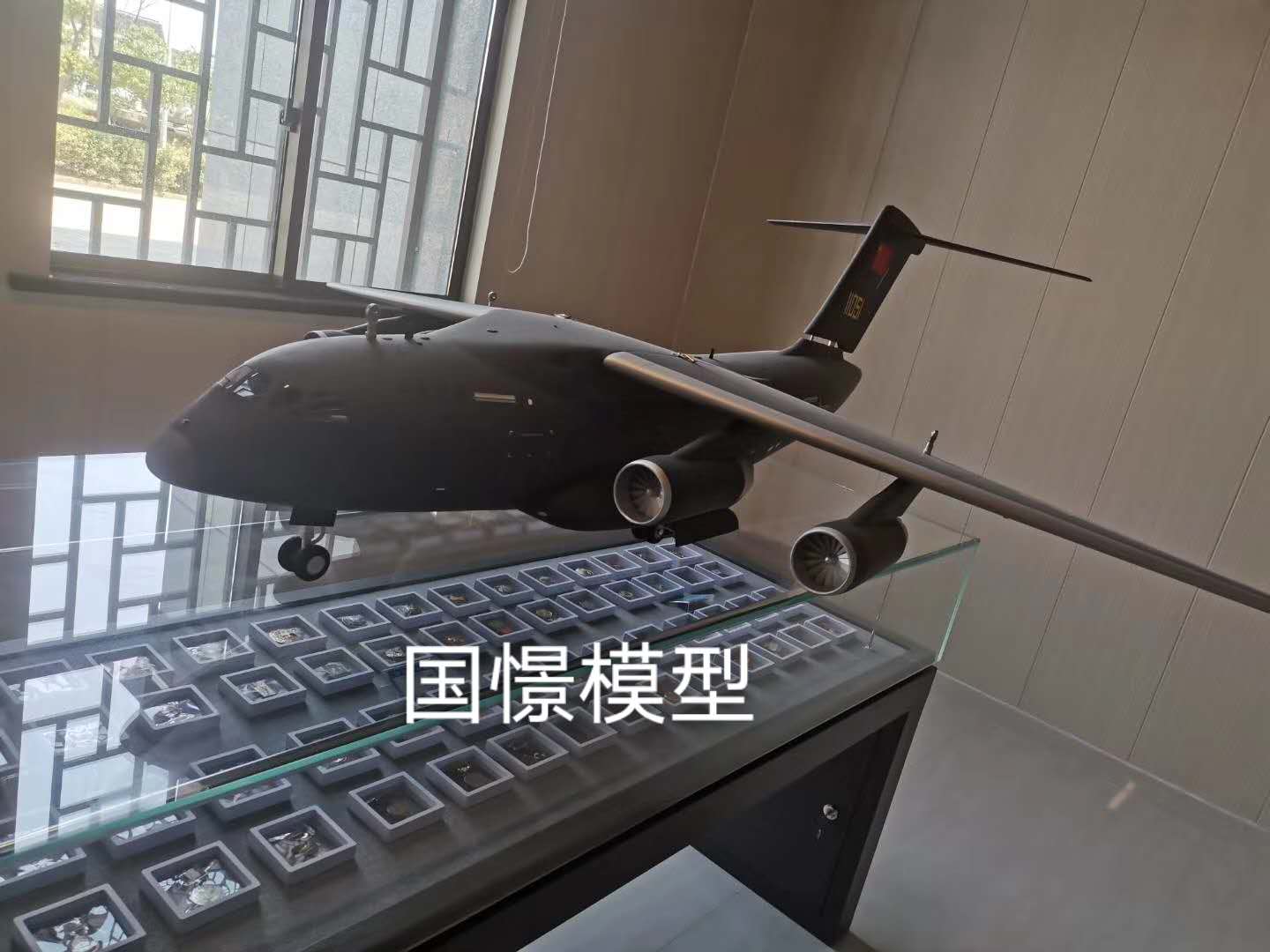 陆丰市飞机模型